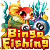 Bingo Fishing jl-1 fishing
